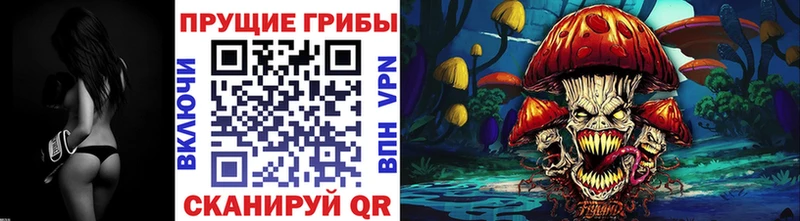 Псилоцибиновые грибы Psilocybe  Томари 